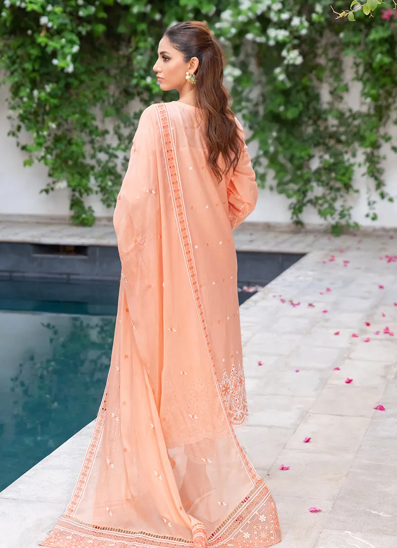 3 Pc Chikankari Lawn Unstitched