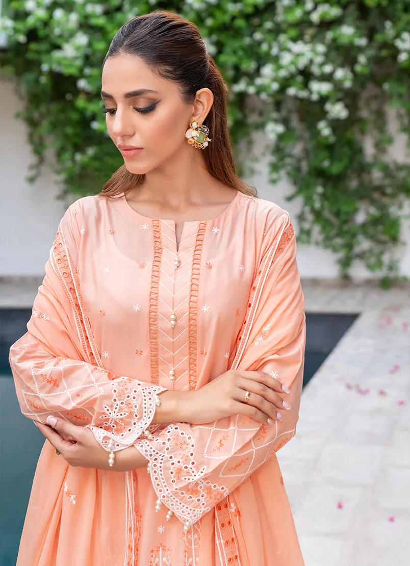 3 Pc Chikankari Lawn Unstitched