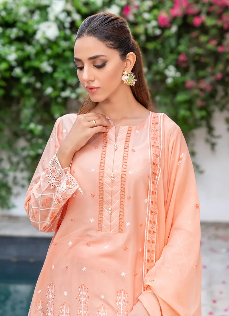 3 Pc Chikankari Lawn Unstitched