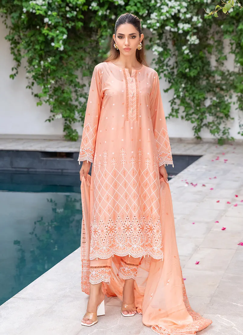 3 Pc Chikankari Lawn Unstitched