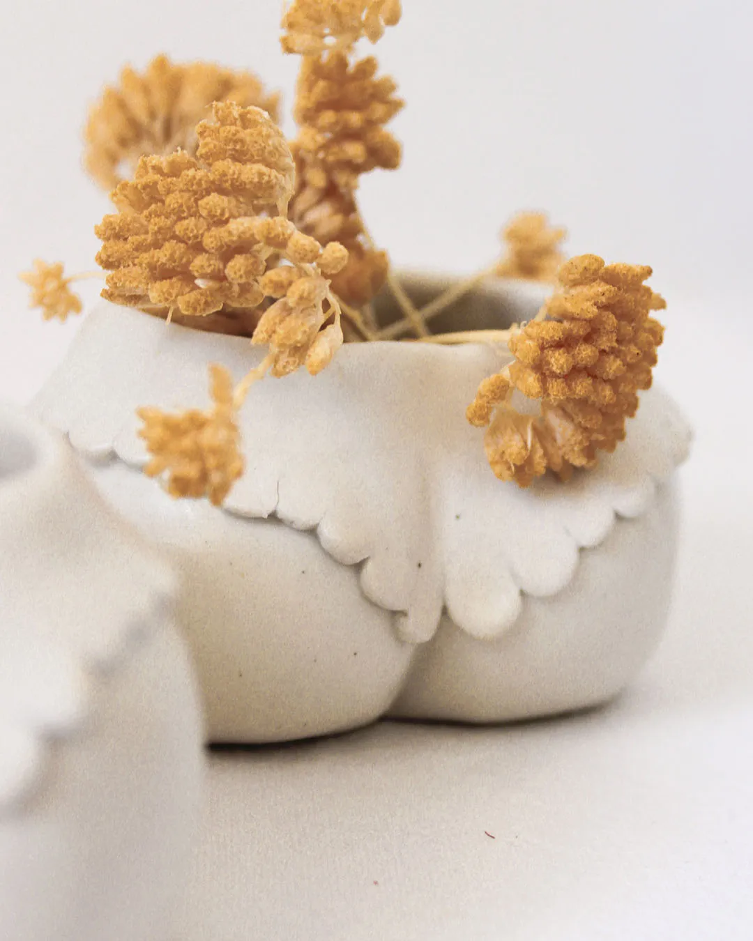 A Senhorita Pot