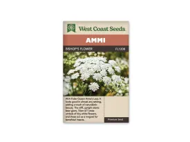 Ammi - Bishop's Flower (Seeds)