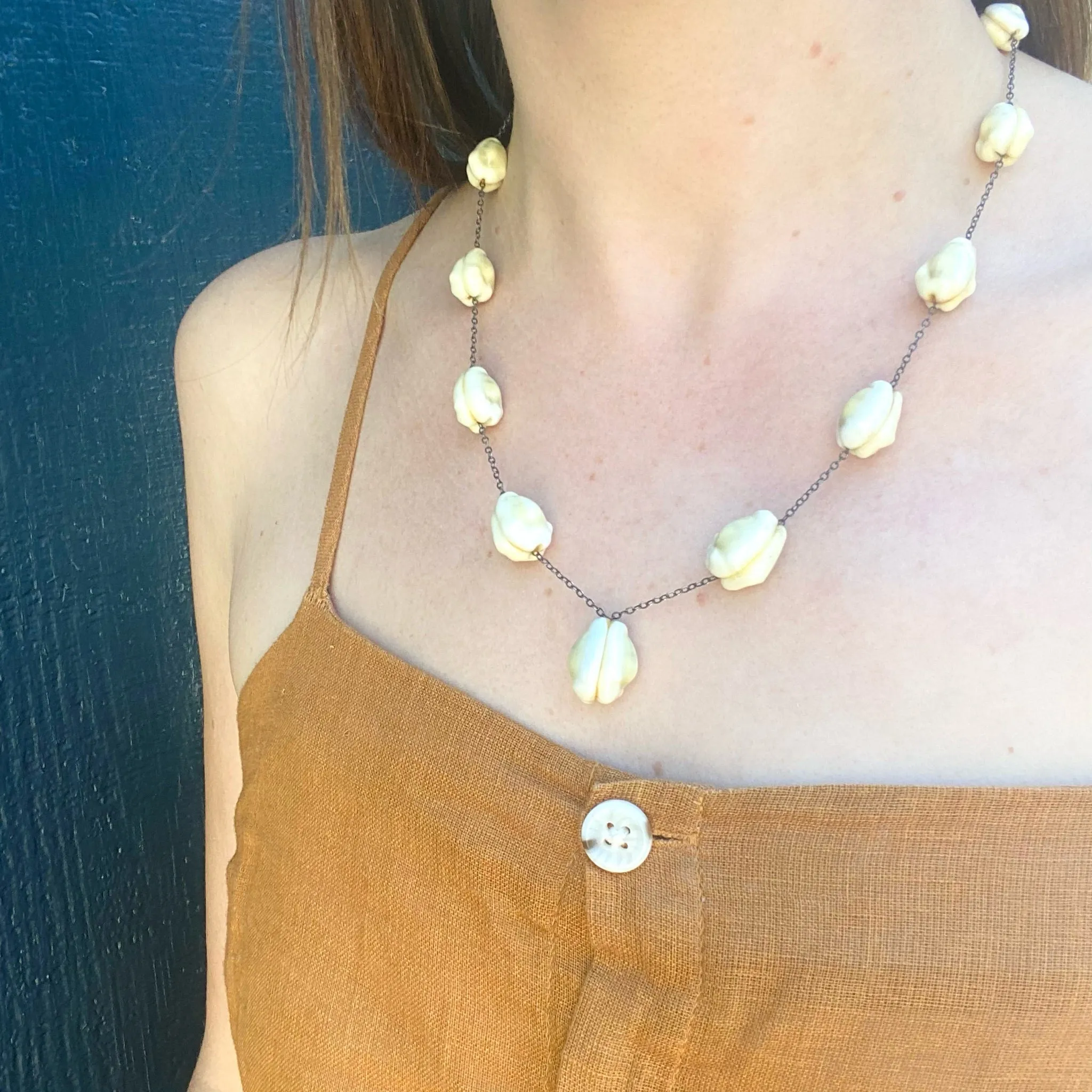 Antique Cowrie Shell Necklace on Silver Chain
