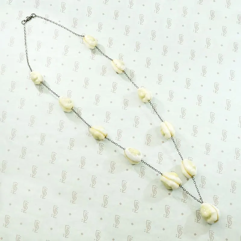 Antique Cowrie Shell Necklace on Silver Chain