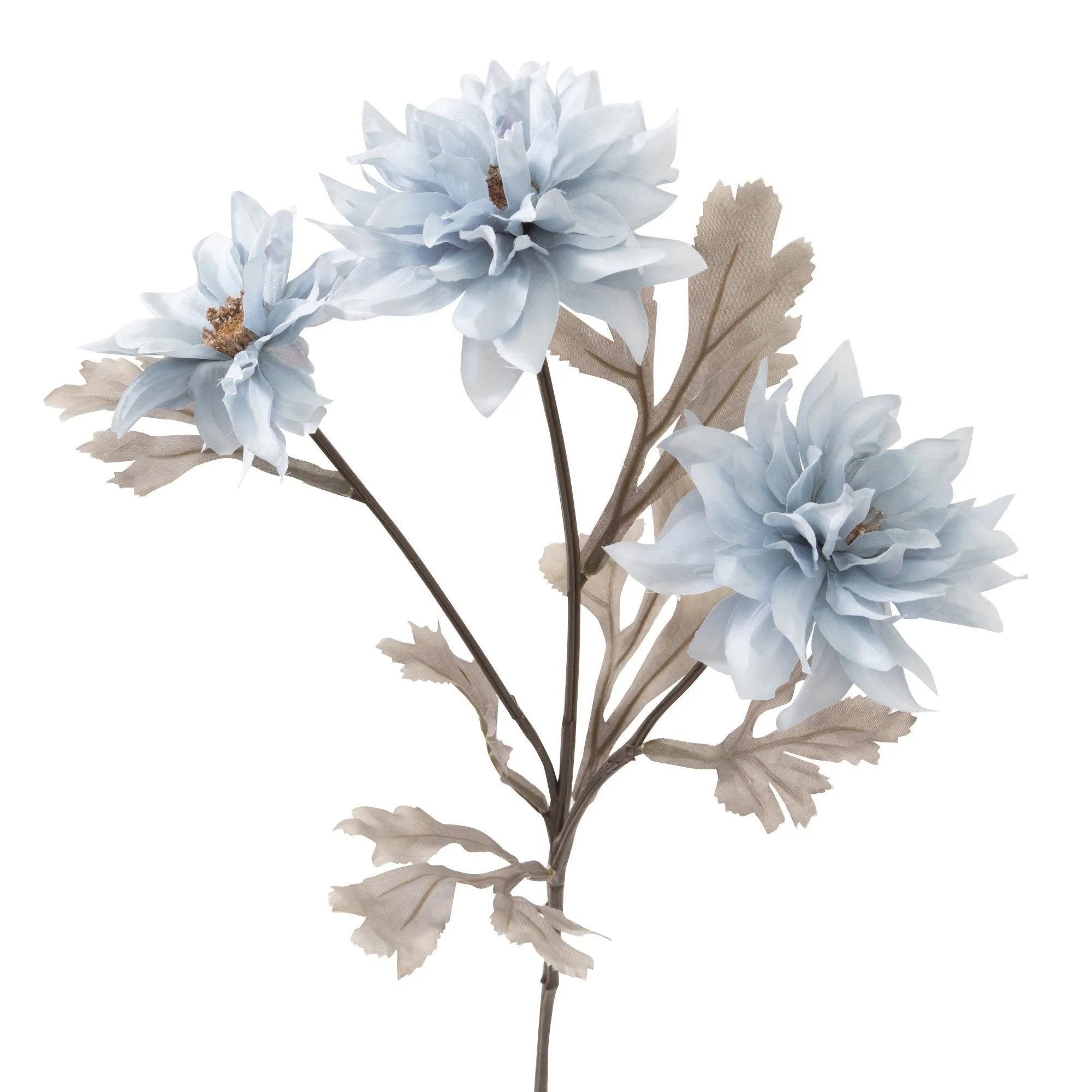 Art Flower Dahlia Blue