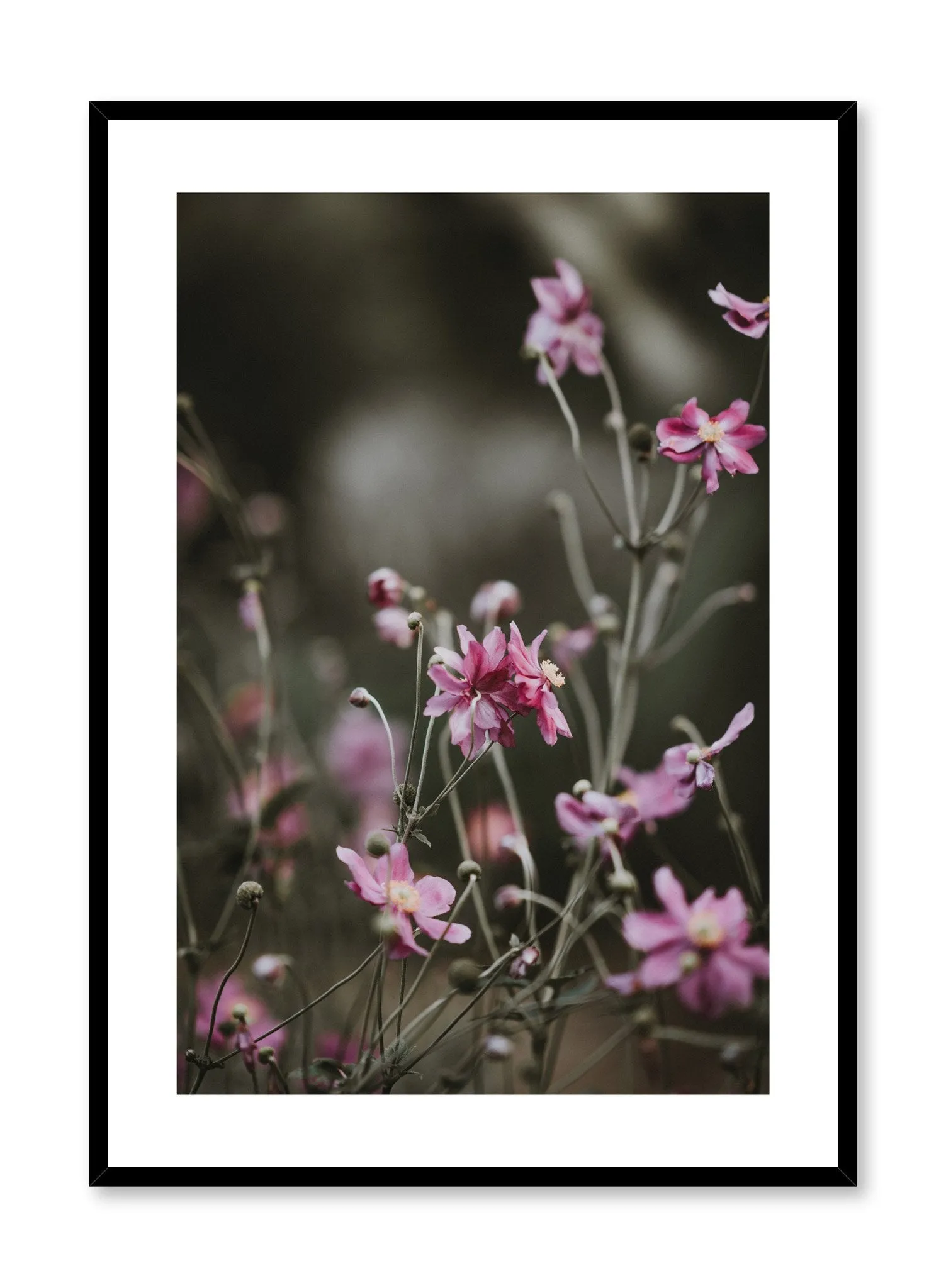 Bright Wildflowers, Poster