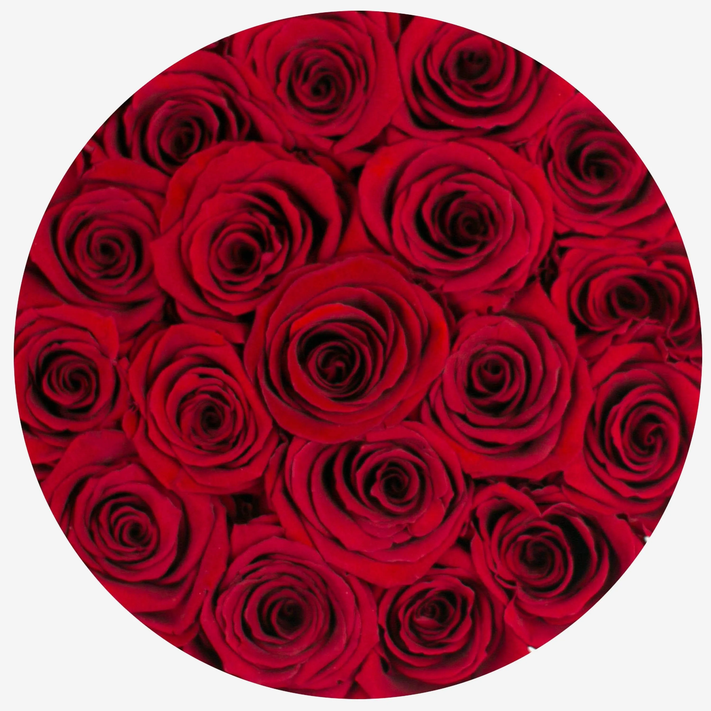 Classic Black Box | Love Edition | Red Roses