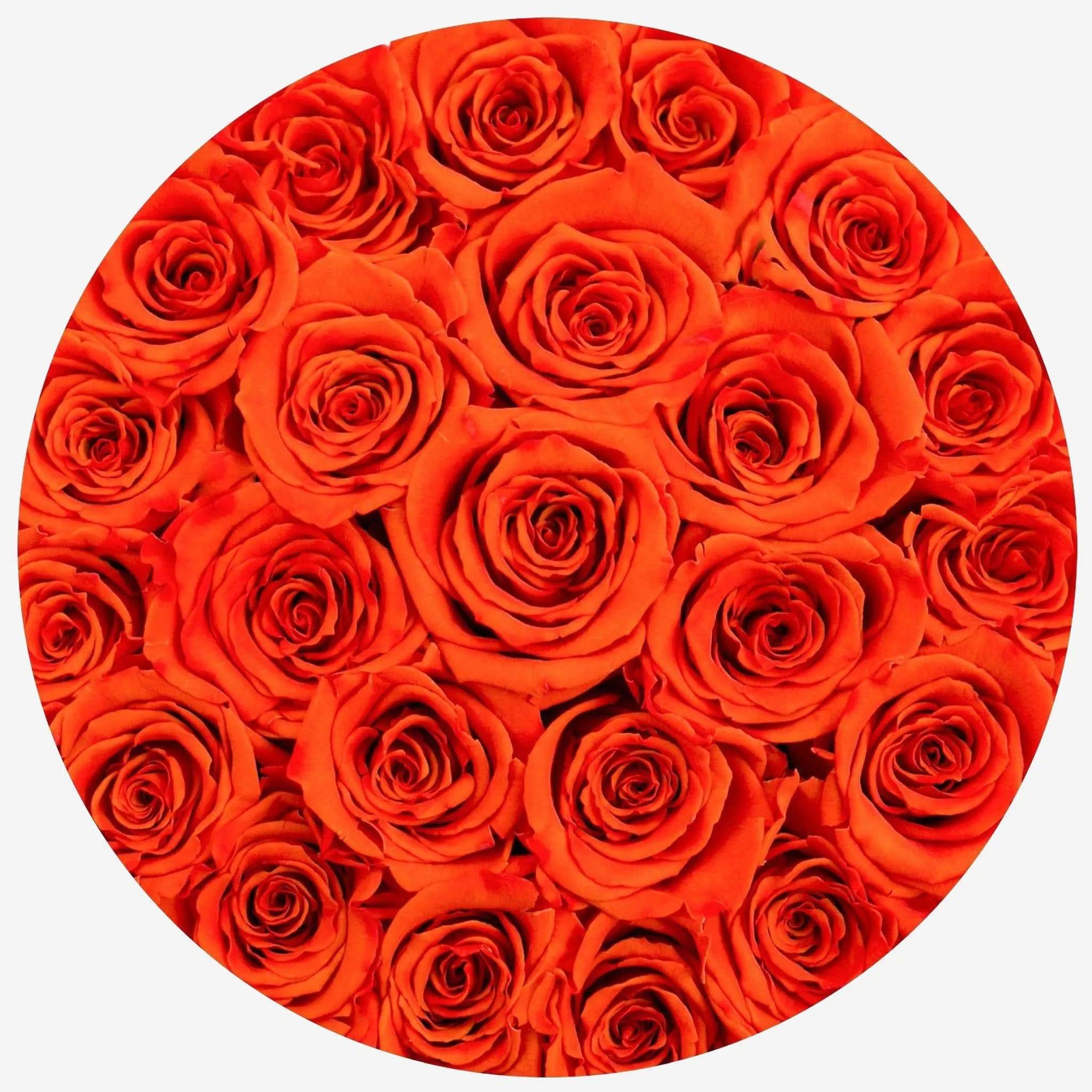 Classic Black Box | Orange Roses