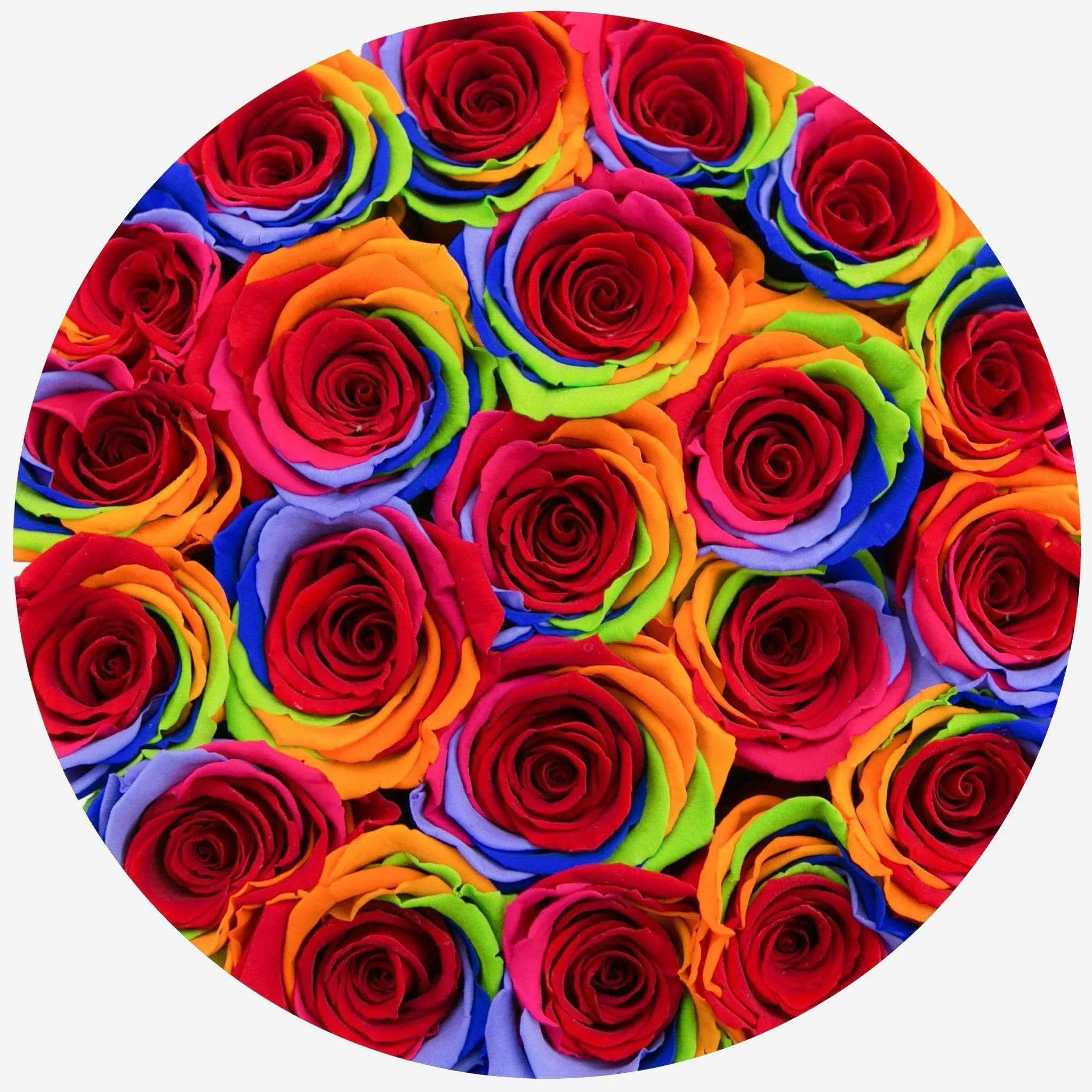 Classic Black Box | Rainbow Roses