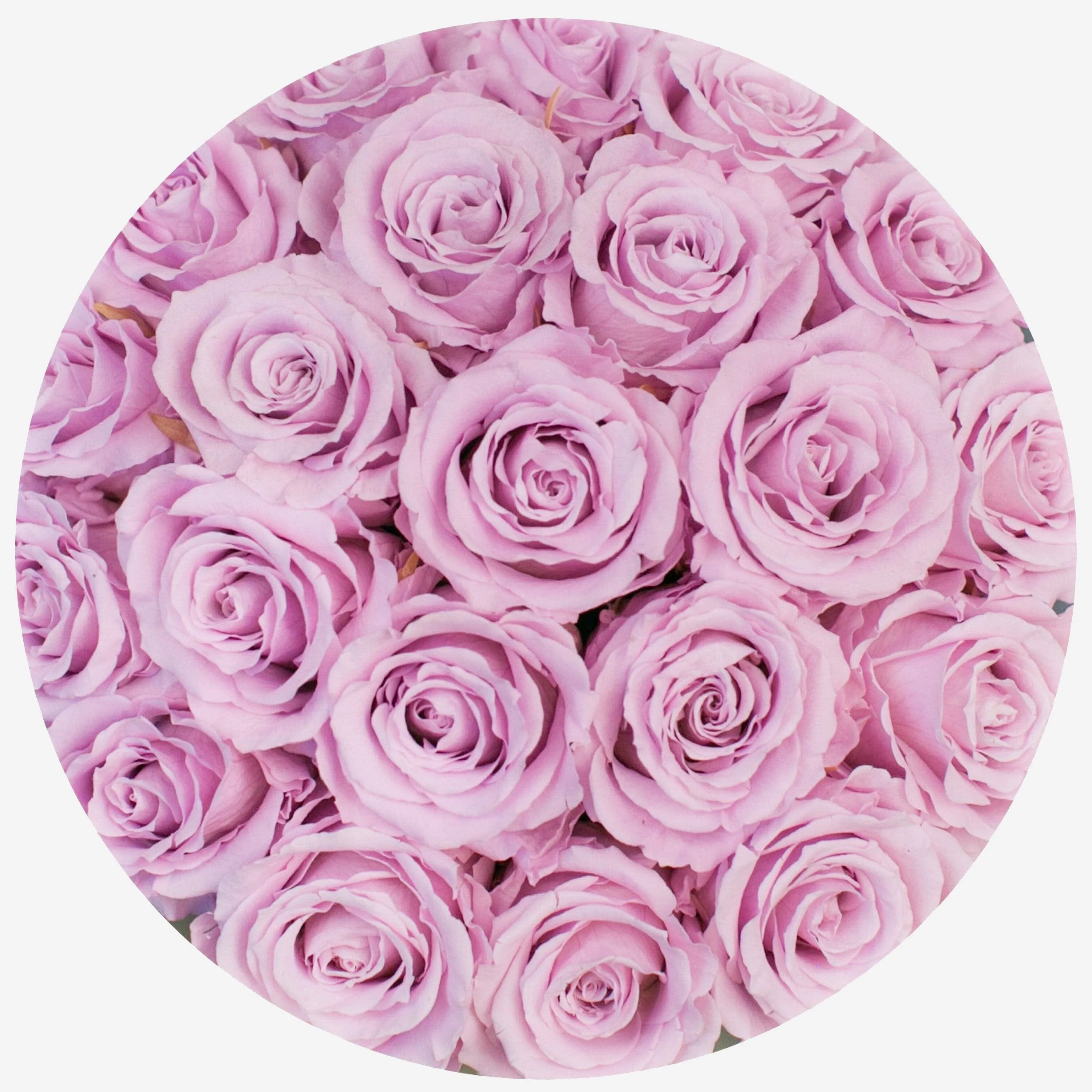 Classic Hot Pink Suede Box | Light Pink Roses