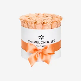 Classic White Box | Peach Roses