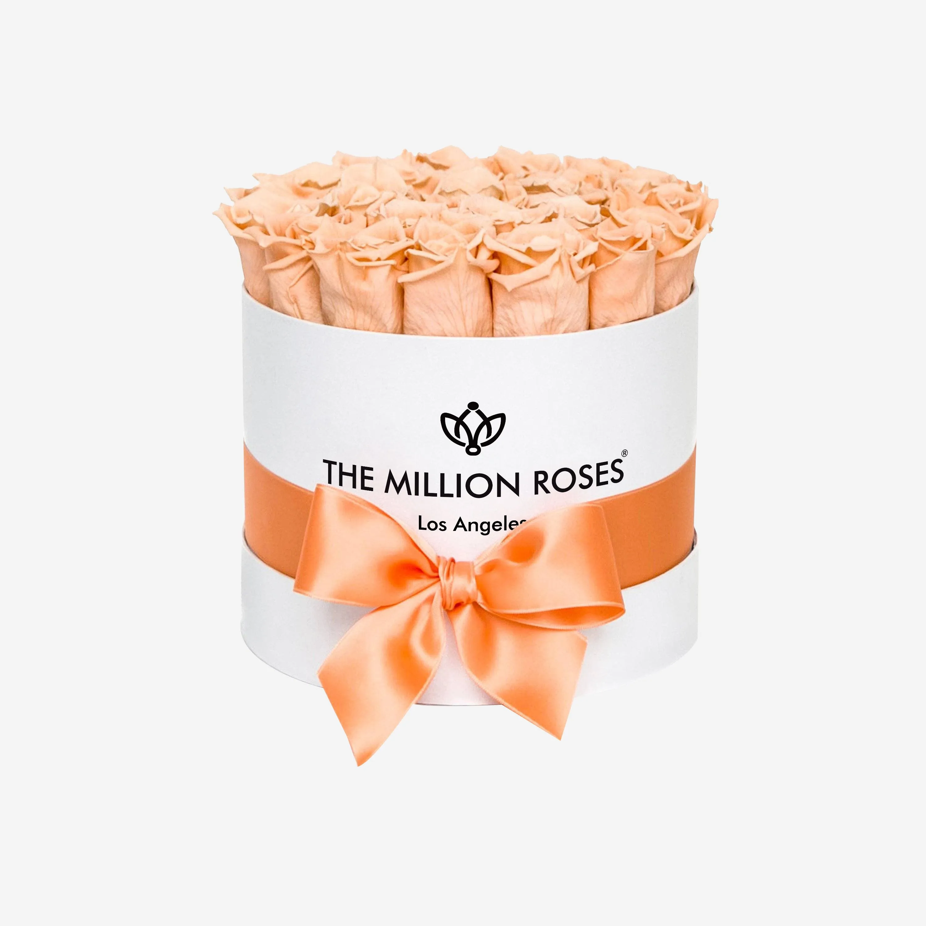 Classic White Box | Peach Roses