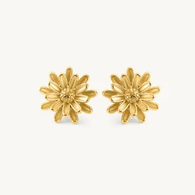 Golden Daisy Earrings
