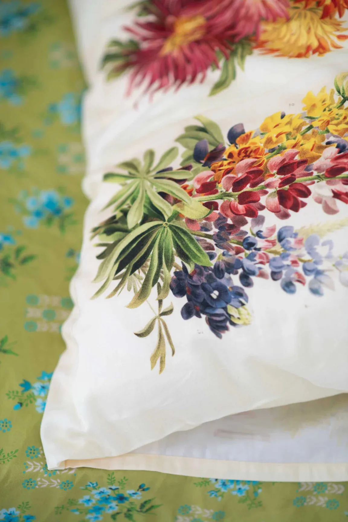 Organic Cotton Horticole Pillowcase Set with Lazybones Design