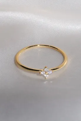 Posy 925 Ring